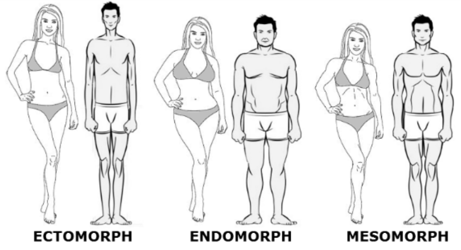 Image de Référence stomatotype